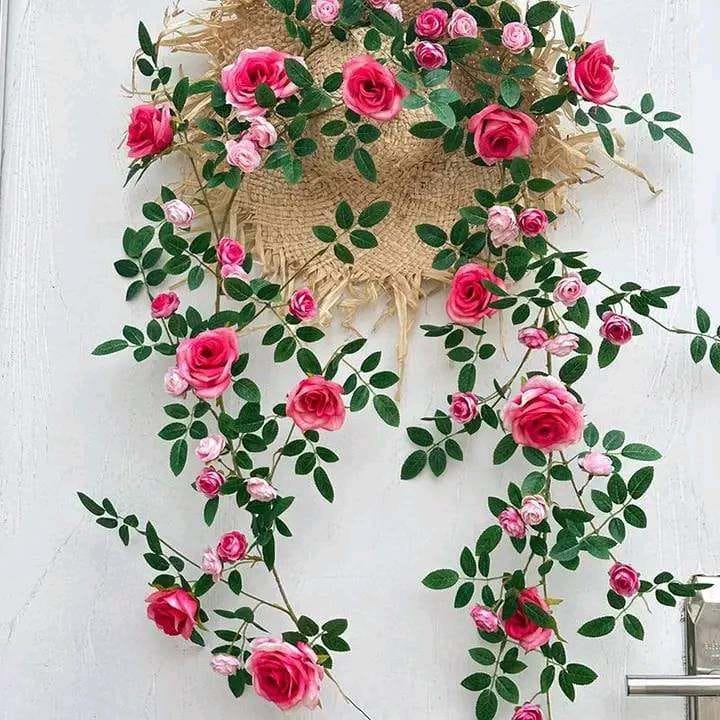 Rose vine